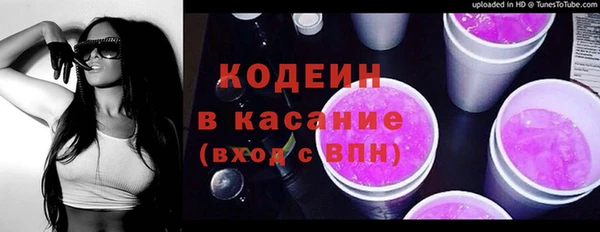 индика Богородск