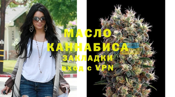 индика Богородск