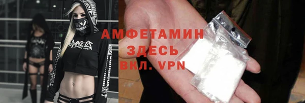 индика Богородск