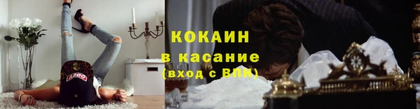 мяу мяу мука Белокуриха