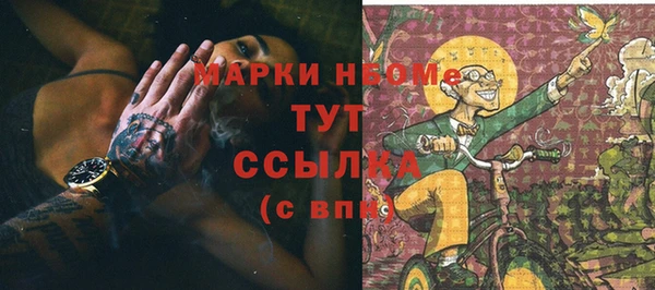индика Богородск