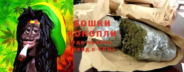 индика Богородск