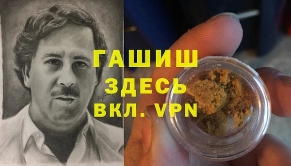 индика Богородск