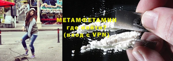 индика Богородск