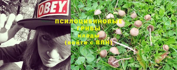 индика Богородск