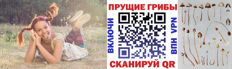 Псилоцибиновые грибы Magic Shrooms Елизаветинская